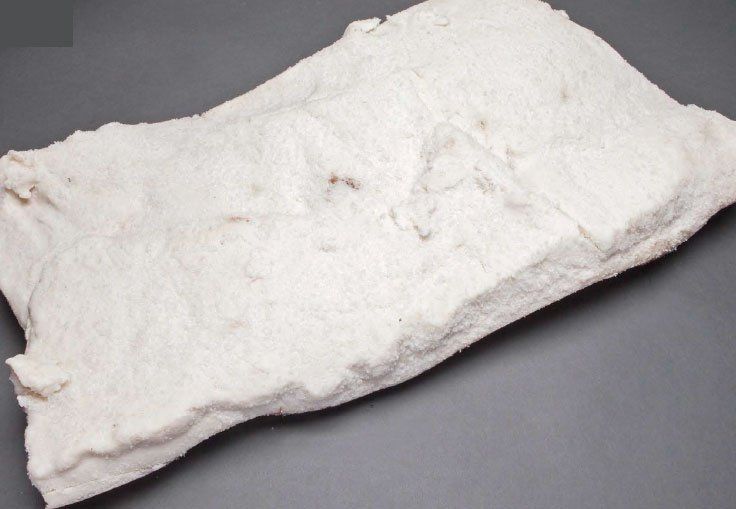 Tocino ibérico salado